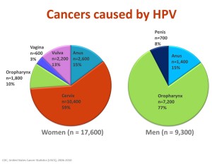 HPV2